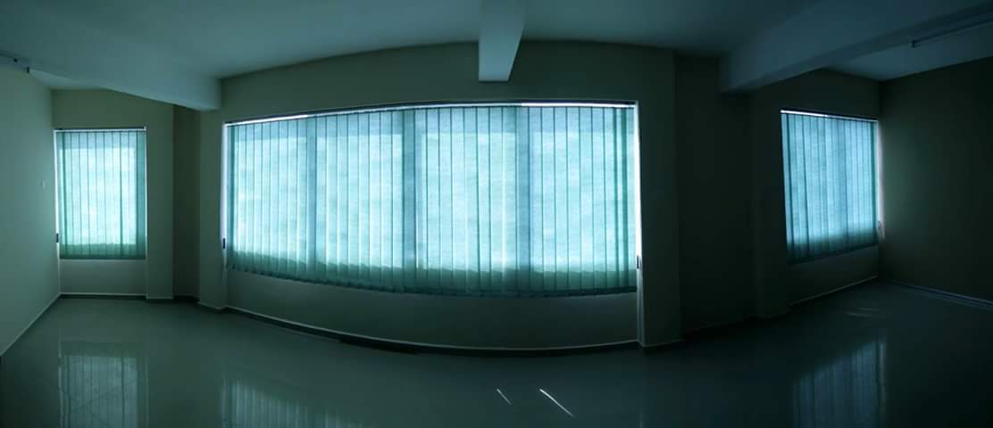 VERTICAL BLINDS